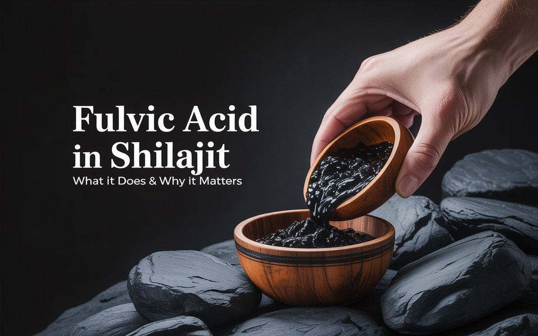 Fulvic Acid in Shilajit
